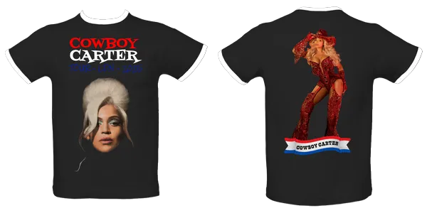 Men's fitted ringer t-shirt