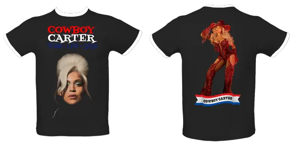Men's fitted ringer t-shirt