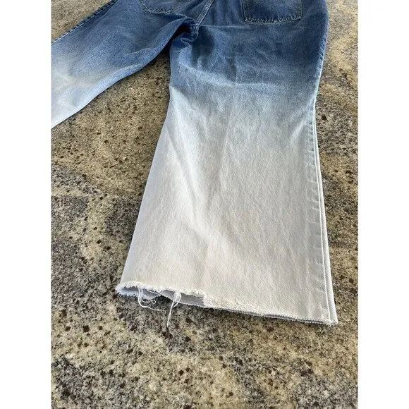 Plus Size 24 High Rise Wide Leg‎ Cropped Jeans Denim Ombré