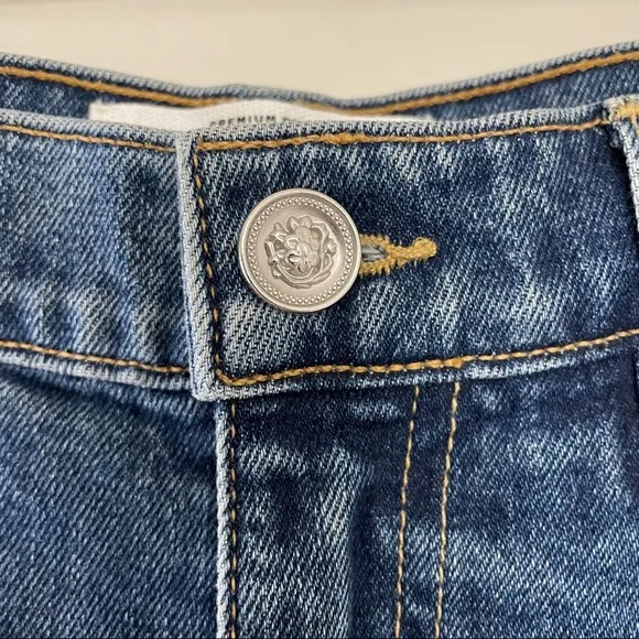 SLVRLAKE Beatnik Ankle Jeans in Promise Land