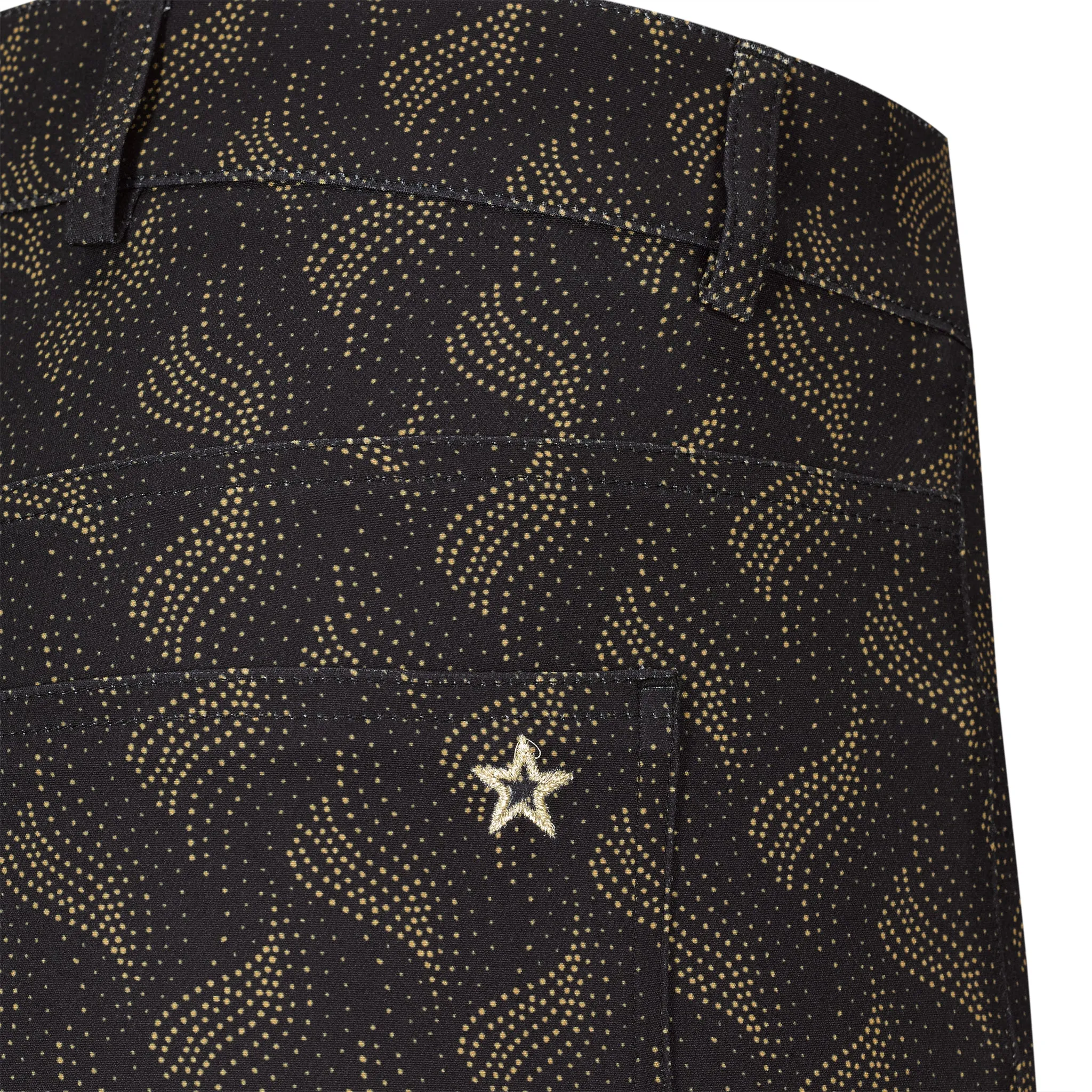 The Goldeneye Printed Pant